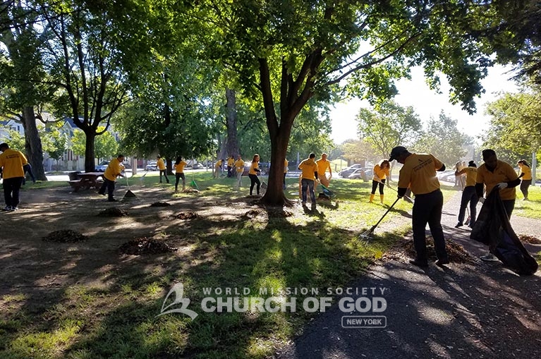 environmental cleanup in albany, world mission society church of god, albany, new york, wmscog, Swinburne park, Livingston Park