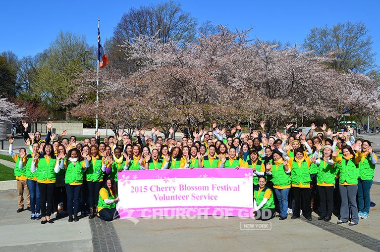 world mission society church of god, yellow shirts, green vests, brooklyn, botanical garden, cherry blossom, volunteer service