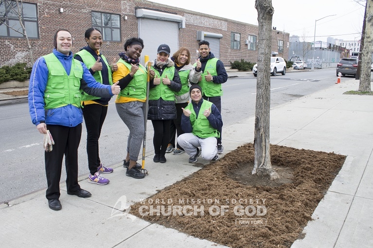 world mission society church of god, church of god, wmscog, church of god in new york, environmental protection, tree stewardship, yellow shirt volunteers