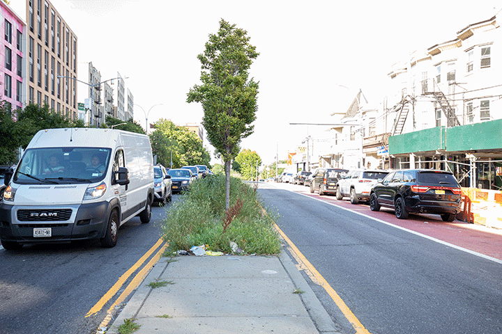 ASEZ WAO Webster Avenue Cleanup in the Bronx, NY