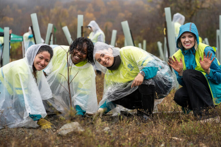 ASEZ WAO Church of God young adult worker volunteer tree planting