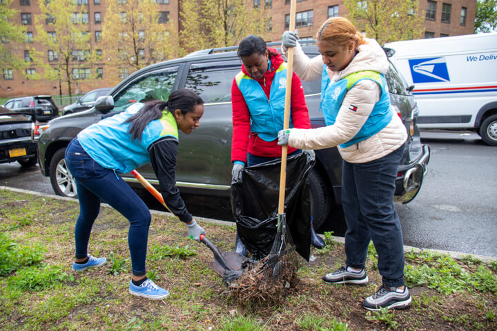 ASEZ randall avenue cleanup bronx, ny